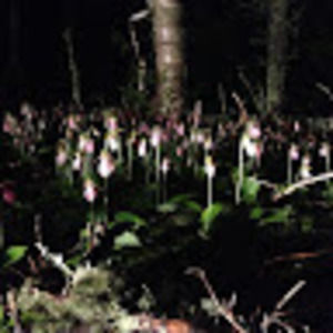 Meet your Posher, Craig